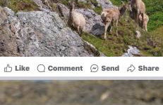 Seas the Day - self catering lodge North Uist - Foto 11