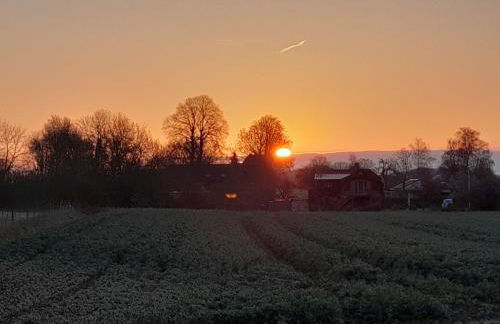 Ferienwohnung Mangelsen - Foto 20