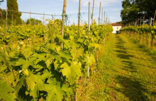 La Pescaia Casa Vacanza - Foto 38
