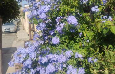 My Little House - appartamento con patio e parcheggio privato a 5 minuti dalla spiaggia e dal centro - Foto 35