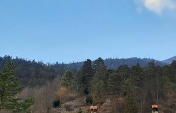 Appartement im Hasental - Foto 18