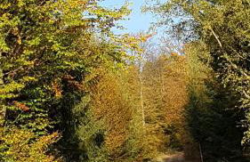 Ferienhaus "Am Gehre" - Foto 34