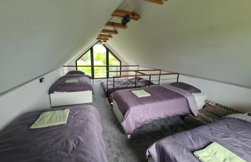 Studio Brzózka - Foto 14