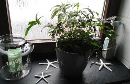 Exklusive Ferienwohnung Lurelei 150 qm mit Traumblick 4 bis 9 P - Photo 21