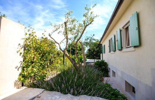 Holiday Home Mikula - Foto 30