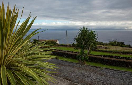 Quinta Da Ribeira Da Urze - Photo 7