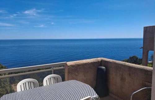 Lea-Vue mer panoramique- clim-Wifi- plage à pieds - Foto 17