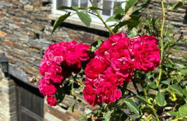 Encanto de Xisto - Foto 9