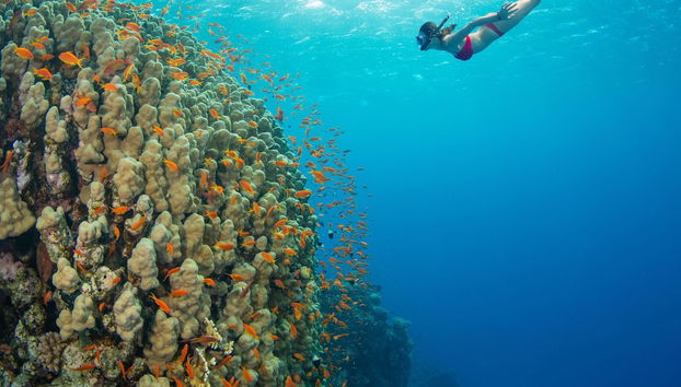 Papakea D108 - Foto 5, Miscelánea