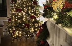 Bramley House-5 Star-located on the Dublin-Belfast corridor - Foto 36