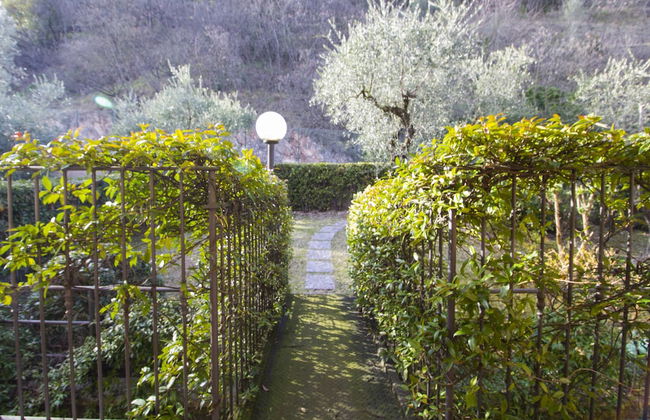 Residence Cecina - Foto 17