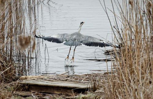 Ferienhaus Biberburg - Foto 12