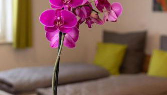 Apartment Alte Raiffeisenkasse Rothenburg ob der Tauber - Foto 2