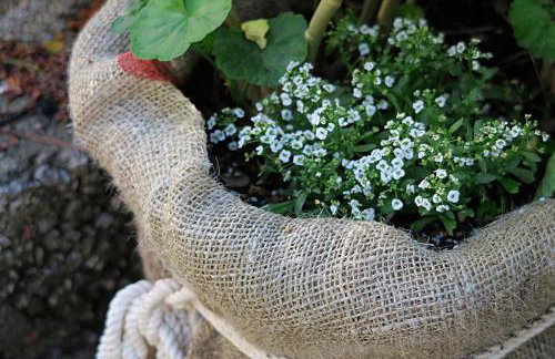 Apartments Vera - Foto 33