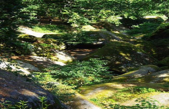 Cosy Holiday Home in Huelgoat With Terrace - Foto 41