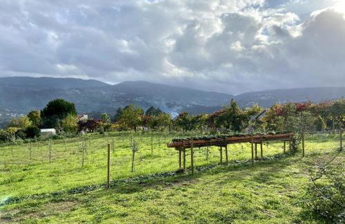 Quinta do Rio Douro - Turismo Rural - Foto 33