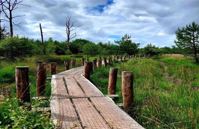 Holiday Park Escape in Drenthe - Photo 25