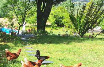 Quinta da Portela - Foto 25