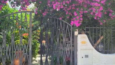 Nel cuore del Salento - Foto 2