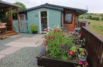 Enlli Fach cabin sleep's 2 adults and 2 children 2 dogs welcome not suitable for contract workers due to parking height restrictions - Photo 58