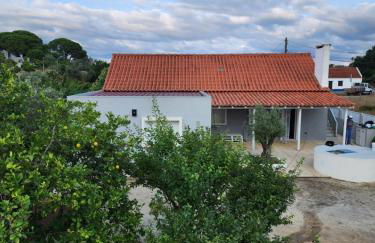 Casa do Avô Ezequiel - Foto 15