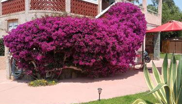 HAUT VILLA MESANGES EN BORD DE MER ! - Foto 2