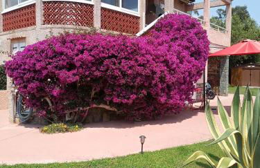 HAUT VILLA MESANGES EN BORD DE MER ! - Foto 2