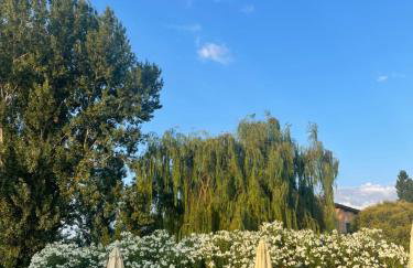 Agriturismo I Bosconi - Foto 7