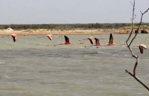 Tour de 5 días por Manaure, Cabo de la Vela, Punta Gallinas y Nazareth - Foto 5