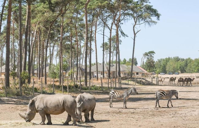 Safari Resort Beekse Bergen - Foto 53