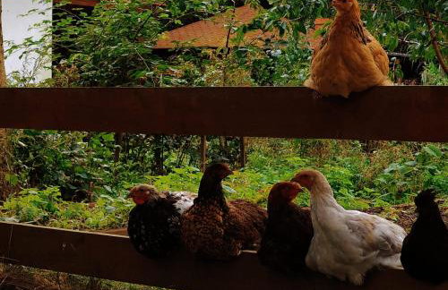 Dziki brzeg Jezioraka - Foto 38