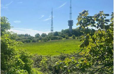 Entire 2 bedroom house. - Foto 21