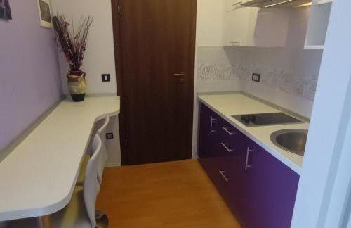 House Dolly - Foto 15