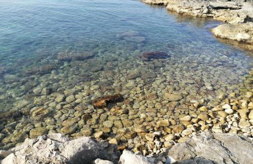 L'Ancora Blu - Foto 21