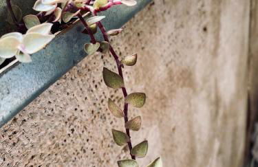 Un Autre Monde - Foto 41