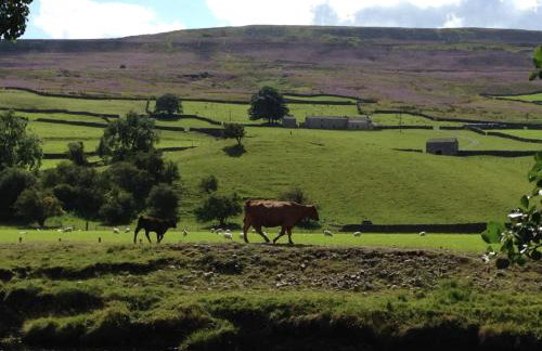 Union Farm Cottage - Photo 24