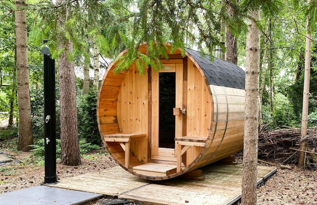 Holiday Home in Rheezerveen With Sauna - Foto 32