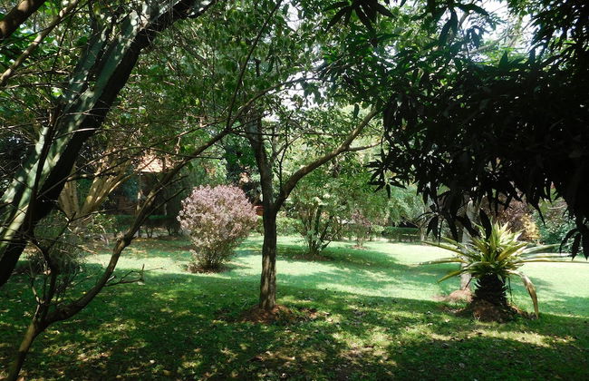 Soho Greens Apartments Apt 3 - Photo 14