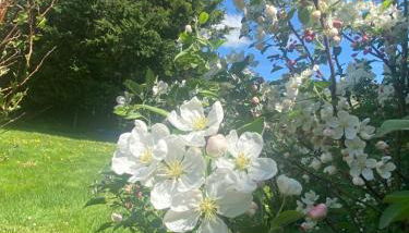 Home in Champagnac La Riviere with shared pool - Foto 2