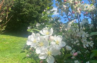 Home in Champagnac La Riviere with shared pool - Foto 2