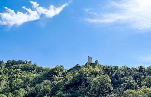 Apartment Moselromance mit großer Sonnenterrasse by Interhome - Foto 40