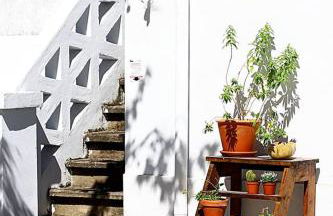 Oryza Guest House& Suites - Foto 47