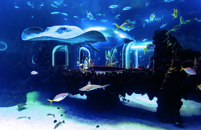 Aquarium Poema del Mar - Photo 8