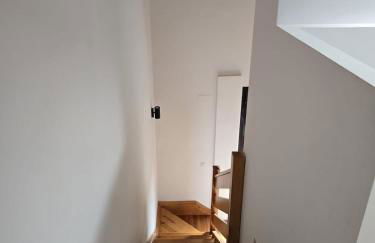 Pirineu Nature - Foto 15