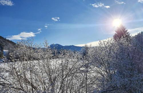 Ferienwohnung Hammer - Alpenblick - Foto 17
