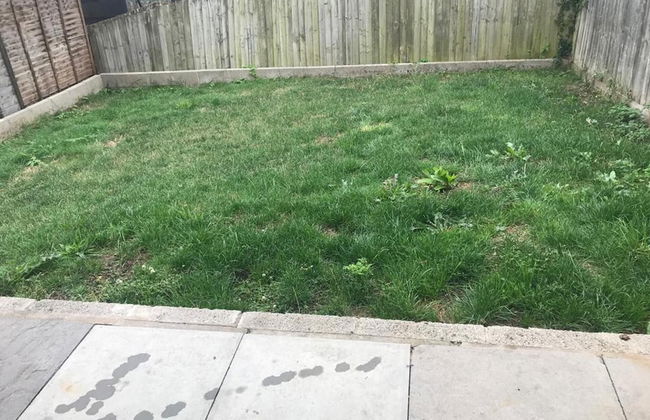 Ammaculate 3 Bedroom Property Near Caltic Manor - Photo 11