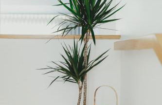 Casa do Soutinho - Foto 52