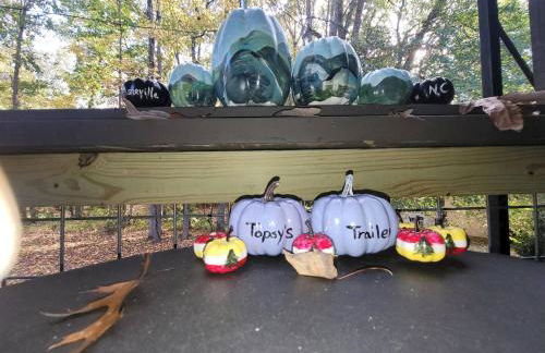 ShortLong Stays Welcome! Hot tub, Dog Friendly! - Foto 9