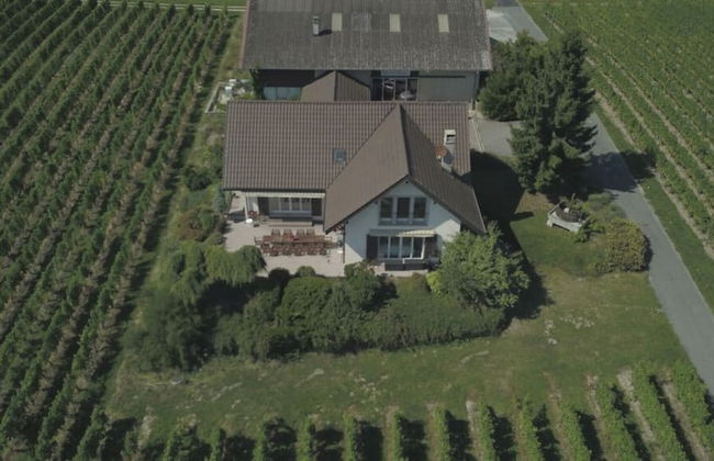 Stunning 6-bed Villa in Etoy - Foto 40