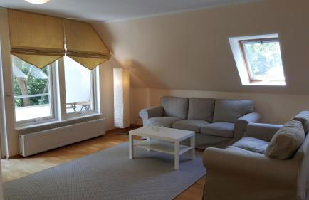 Ferienwohnungen an den Salzwiesen - Foto 7